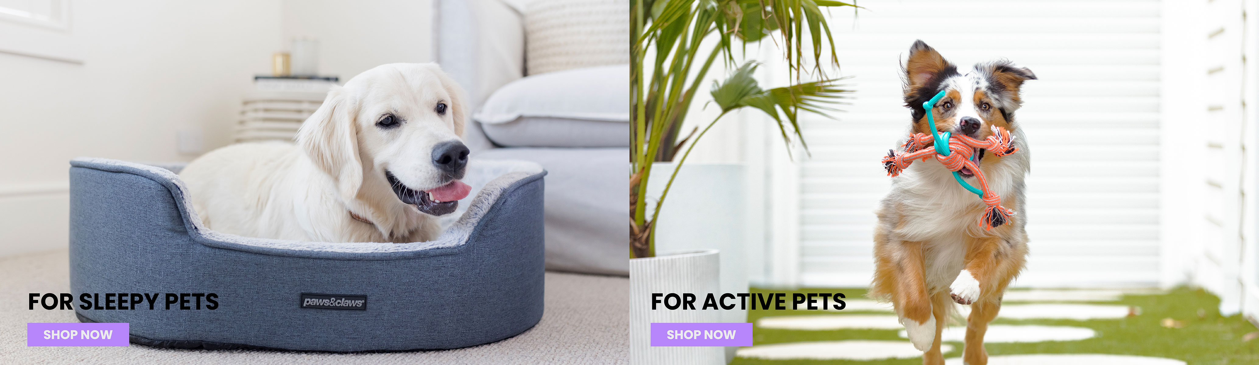Active Pets